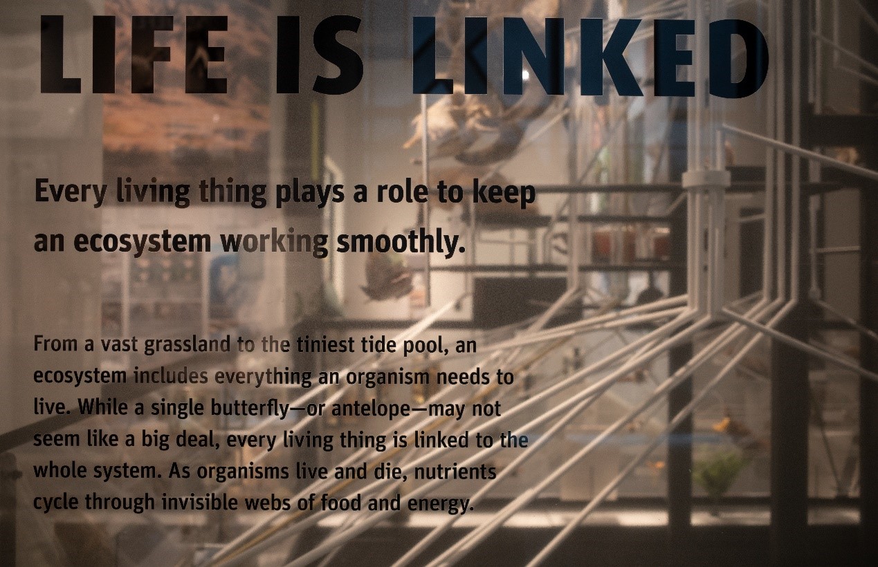 “LIFE IS LINKED”